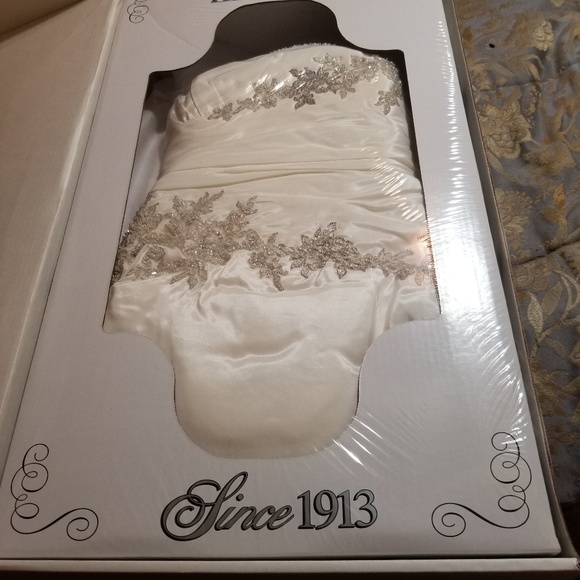 Preserved Wedding dress
